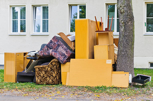 Best Demolition Debris Removal  in Winnebago, MN